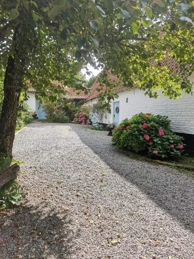 Le Clos De La Rose Gite Bien Etre Wirwignes Esterno foto