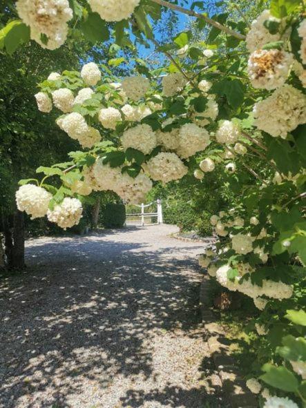 Le Clos De La Rose Gite Bien Etre Wirwignes Esterno foto