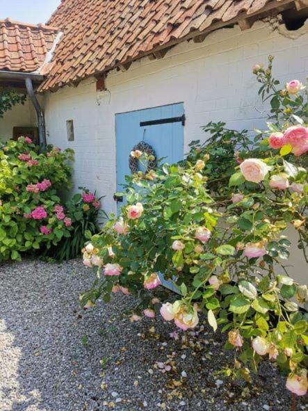 Le Clos De La Rose Gite Bien Etre Wirwignes Esterno foto