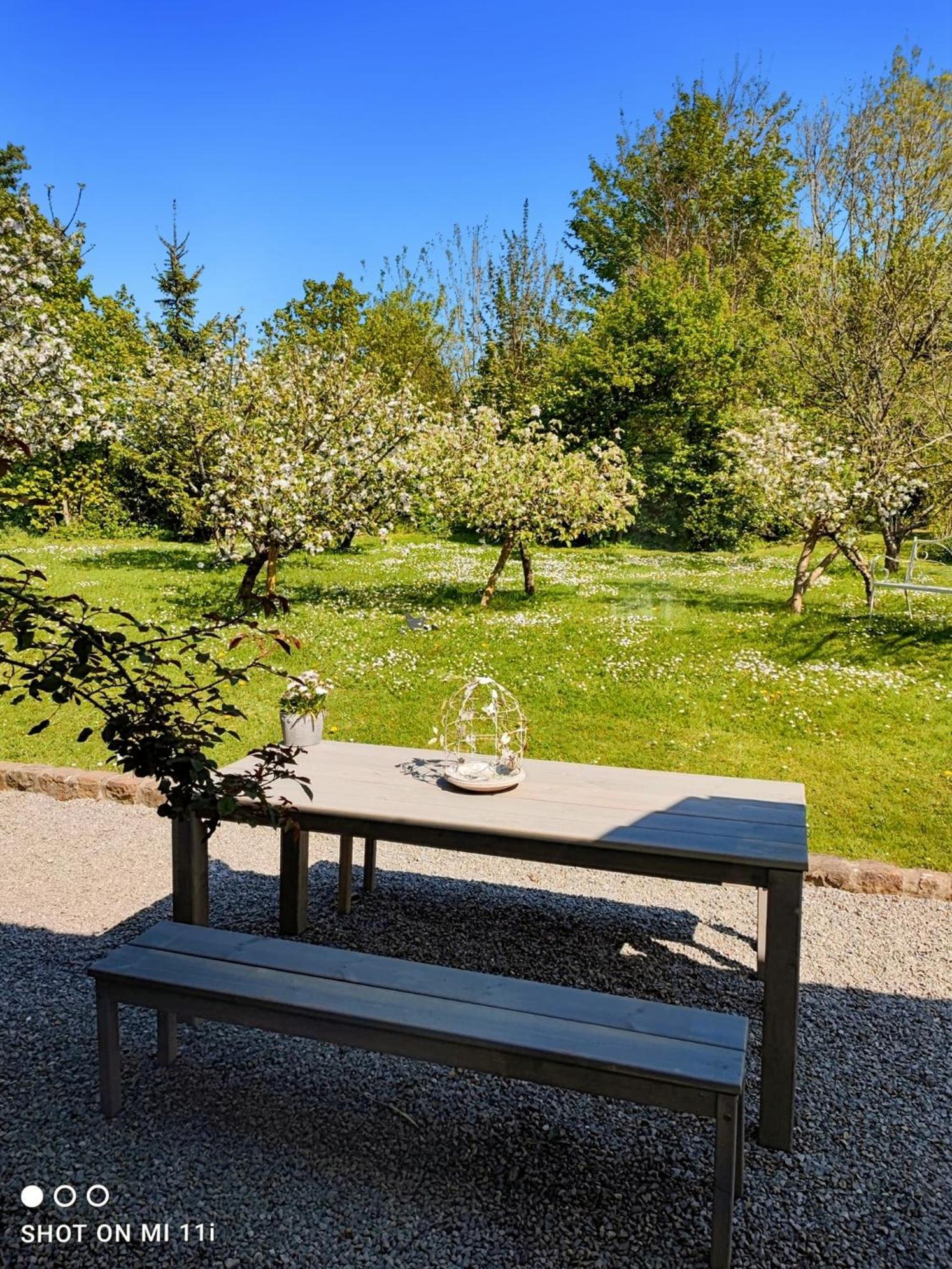 Le Clos De La Rose Gite Bien Etre Wirwignes Esterno foto